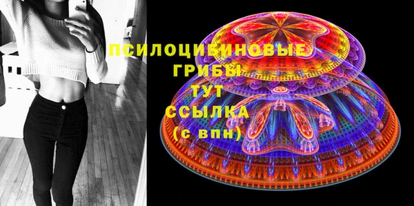 мяу мяу кристалл Арсеньев
