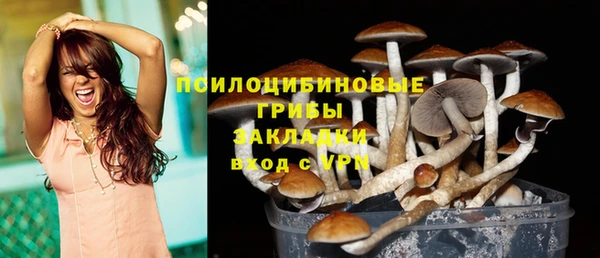 молекула духа Армянск