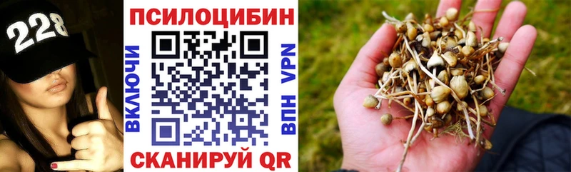 Галлюциногенные грибы прущие грибы  гидра зеркало  Армянск  закладки 
