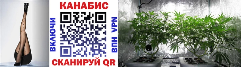 Марихуана MAZAR  как найти закладки  Армянск 